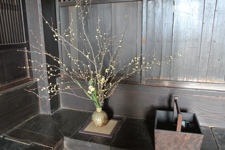 Flower arrangement to welcome guests.