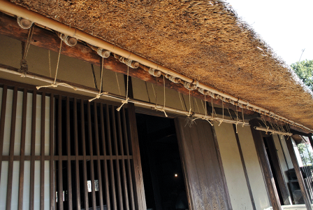 Thatched roof's eaves. People used to dry vegetables here.
